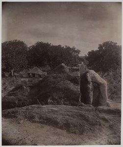 Elefante esculpido en la cima de una roca con inscripciones de Asoka, Dhauli, distrito de Puri de Alexander Caddy