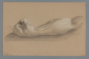 Modelo de yeso de un brazo con el puño cerrado de Alexander Cranendoncq