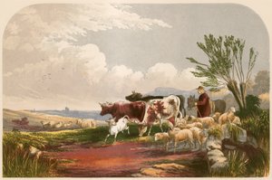 Ilustración para 