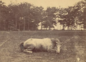 ¿Es esta la muerte? - Campo de batalla de Antietam, septiembre de 1862, 1862 de Alexander Gardner