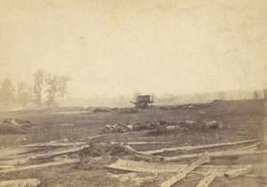 Vista en el campo de batalla de Antietam, septiembre de 1862, 1862 de Alexander Gardner