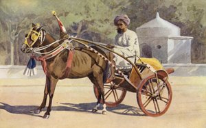 Un Ekka de Benarés de Alexander Henry Hallam Murray