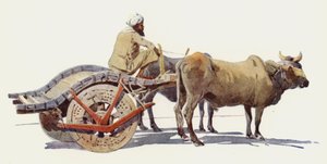 Un Carro de Bueyes, Jodhpur