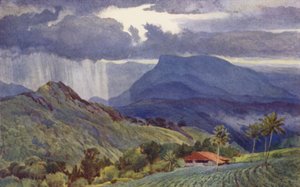 Una Lluvia Tropical