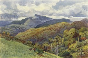 Las Montañas desde Pallekelly de Alexander Henry Hallam Murray