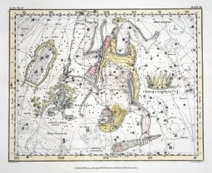 Las constelaciones (Placa VIII) Corona Borealis, Hércules y Cerbero, Lira, de 