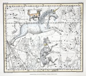Las Constelaciones (Placa XXV) Canis Major, Canis Minor, Monoceros, Argo Navis, l