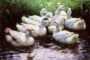 En tierra (Patos) de Alexander Koester