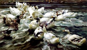 Patos reunidos de Alexander Koester