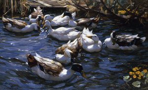 Patos en los Juncos bajo las Ramas de Alexander Koester