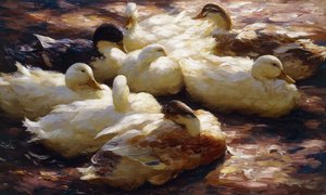 Patos en la orilla del río de Alexander Koester