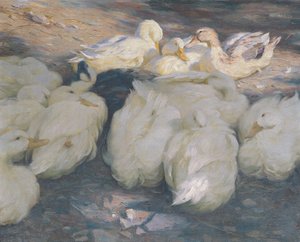 en el sol de la tarde de Alexander Koester