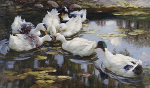 El estanque de los patos de Alexander Koester