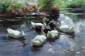 A. Koester, Patos en el estanque de Alexander Köster