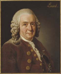  de Alexander Roslin