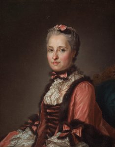 Retrato de la princesa María Josefa de Sajonia 1731-1767, 1776 de Alexander Roslin