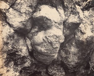Cabeza gigantesca tallada en la roca maciza, descubierta recientemente cerca de Esmirna a la entrada de una cueva,1866 (foto) de Alexander Sandor Svoboda