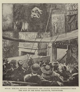 Mademoiselle Adelina Antonio realizando su Doble Salto Mortal hacia Atrás desde el Techo del Royal Aquarium, Westminster de Alexander Stuart Boyd