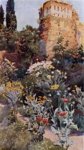 En los jardines de la Alhambra