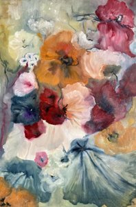 Florecen coloridas amapolas de Alexandra Higgins