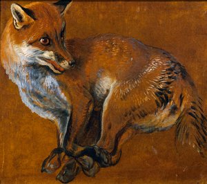 Zorro con patas atadas de Alexandre Francois Desportes