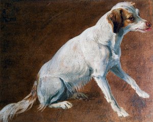 Ancestro del Spaniel francés, por Alexandre-Francois Desportes (1661-1743), Francia de Alexandre Francois Desportes