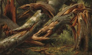 Árbol caído, 1839-1845 de Alexandre Calame