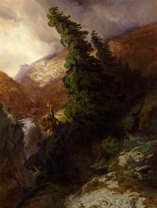 Desfiladero de alta montaña (valle de Handegg en el cantón de Berna) de Alexandre Calame