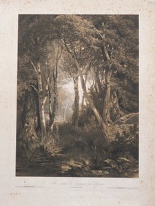  de Alexandre Calame