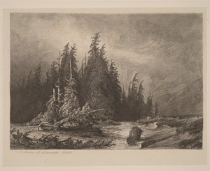 Pinos de montaña de Alexandre Calame