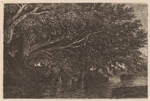 Árboles colgando sobre un estanque de Alexandre Calame