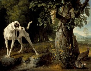 Paisaje con un perro y perdices, 1719