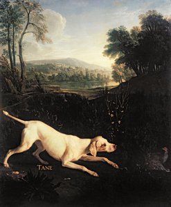 El perro de Luis XIV, Tane