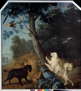 Merluzine y Cocoq, los perros de Luis XIV (1638-1715)