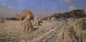 Montones de maíz en un campo
