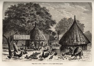 Aldea Diour en invierno (Sudán) y actividades diarias de los habitantes en medio de animales criados por la comunidad, grabado después del dibujo de A. de Bar, ilustrando el viaje al corazón de África en 1868-1871, por el Dr. Georges Schweinfurt de Alexandre de (after) Bar
