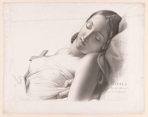 Atala (título sobre objeto) de Alexis François Girard