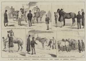 Un día con el Comité de Remonta, comprando caballos para el ejército en Redhill, Edgware de Alfred Chantrey Corbould