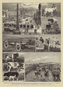 Una feria agrícola sudafricana, Port Elizabeth, Colonia del Cabo