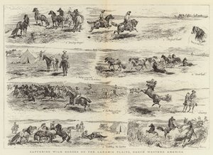 Capturando caballos salvajes en las llanuras de Laramie, Noroeste de América