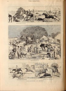 Caza del cerdo en Bengala de Alfred Chantrey Corbould
