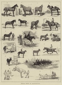 Exposición de Caballos en Manchester de Alfred Chantrey Corbould