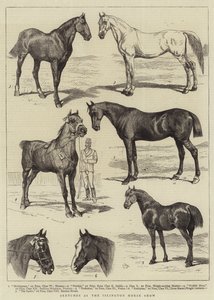 Bocetos en la Exposición de Caballos de Islington de Alfred Chantrey Corbould