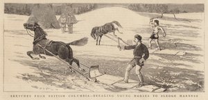Bocetos de Columbia Británica, domando caballos jóvenes para el arnés de trineo de Alfred Chantrey Corbould