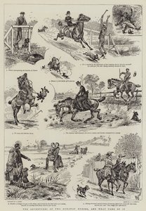 Las Aventuras de Dos Caballos Fugitivos, y lo que Resultó de Ello