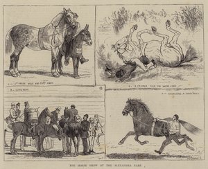 La exposición de caballos en el Alexandra Park de Alfred Chantrey Corbould