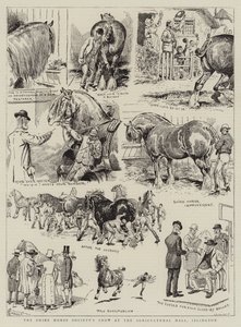 Exposición de la Sociedad del Caballo Shire en el Agricultural Hall, Islington de Alfred Chantrey Corbould