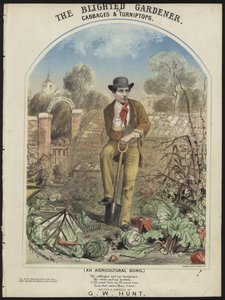El jardinero arruinado de Alfred Concanen
