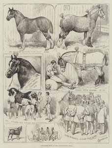Exposición de caballos de tiro en el Agricultural Hall