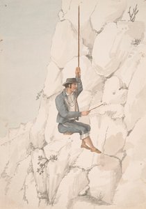 Gomero, Orchilla Recolector